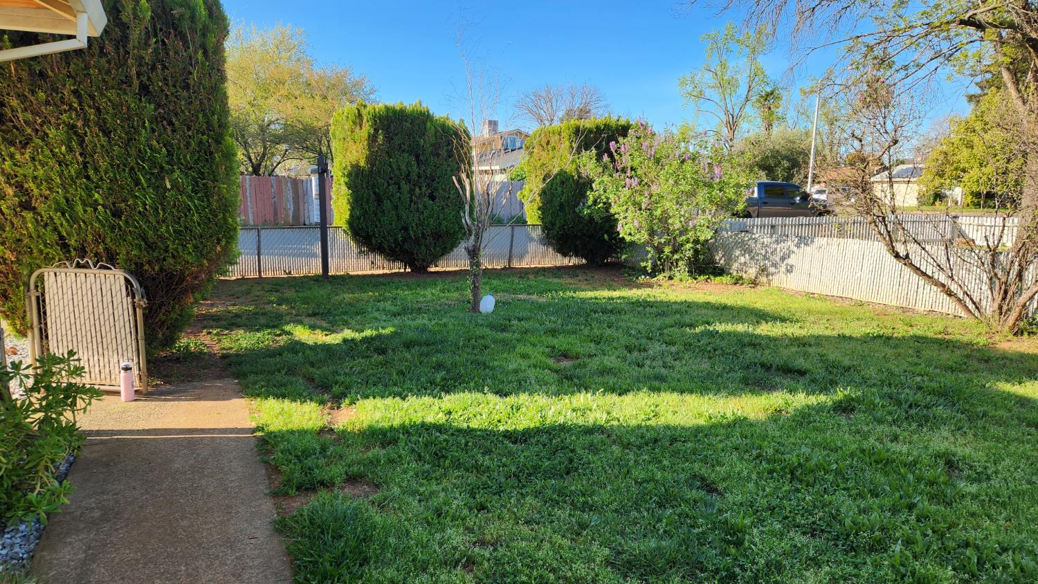 2332 Venus Way Redding, CA 96002 - Photo 7 of 27 a view of a yard with palm trees