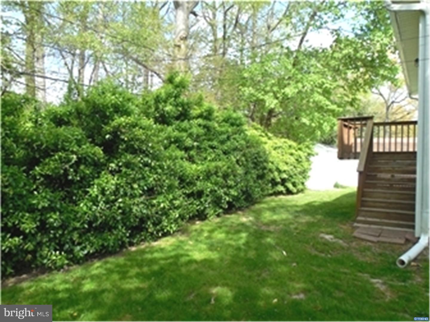 115 West Rutherford Drive Newark, DE 19713 - Photo 17 of 20 Gallery Image 17