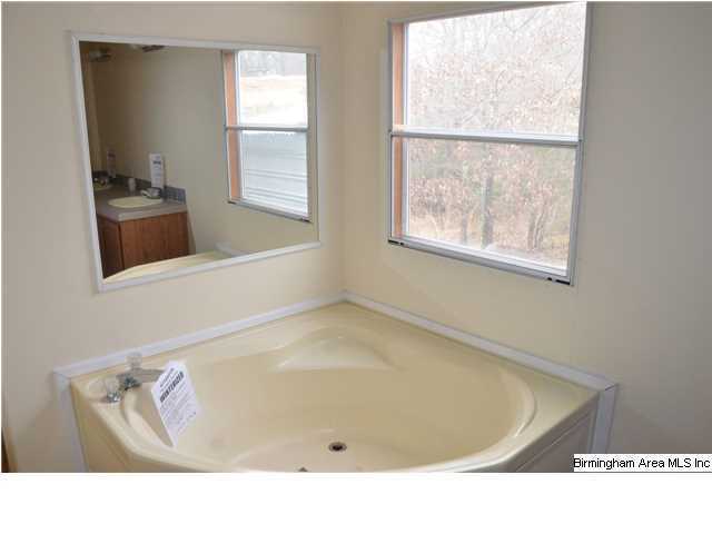 643 Deerfield Road Pell City, AL 35125 - Photo 7 of 31