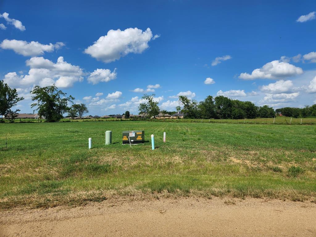 2408 Abigail Lane Mabank, TX 75147 - Photo 4 of 5 View of yard with a rural view