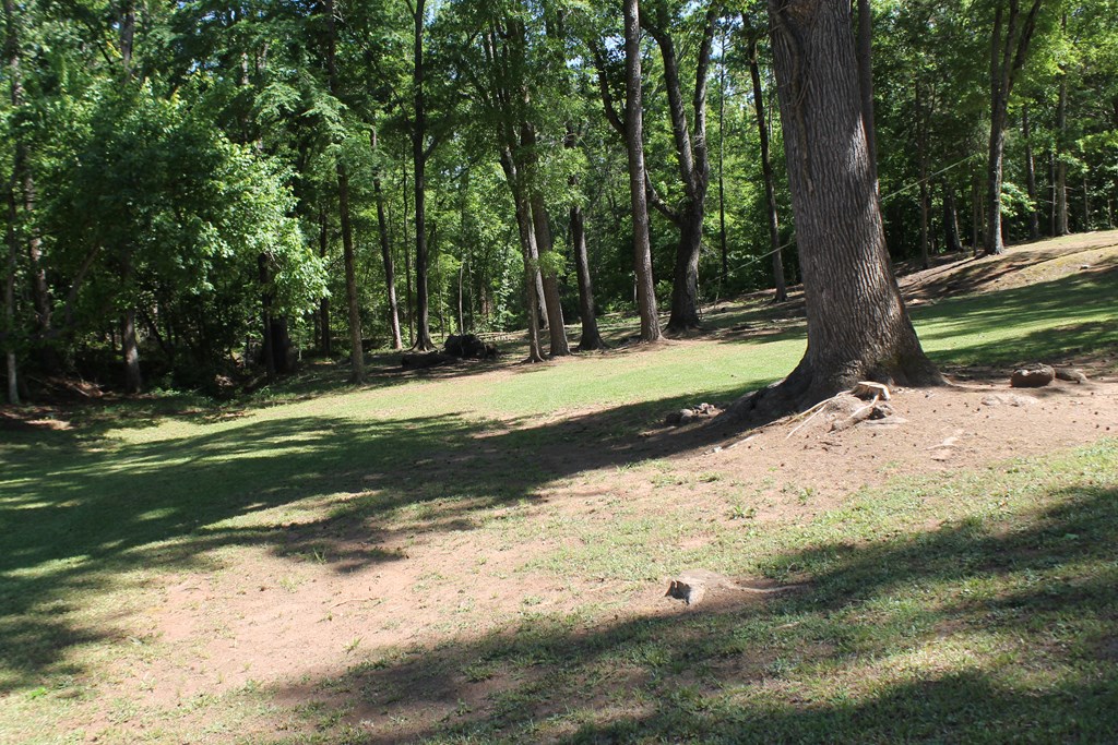 7375 Riverfork Road Waterloo, SC 29384 - Photo 35 of 50