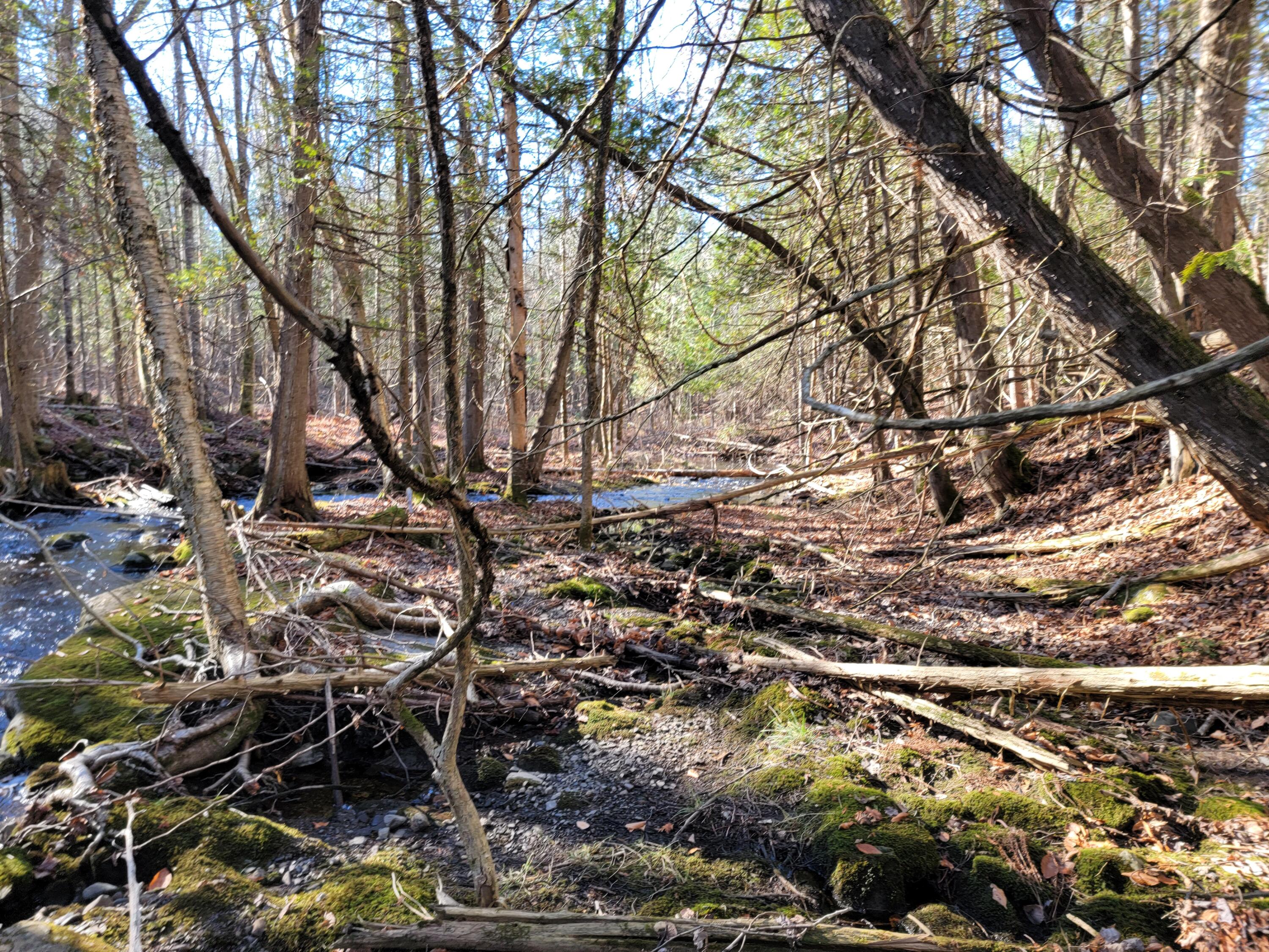 0 East Road Bradford, ME 04410 - Photo 24 of 32 20221102_104345