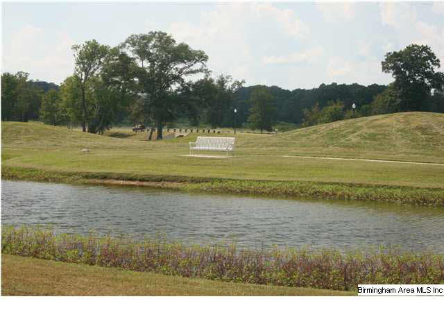 22817 Rimbred Court McCalla, AL 35111 - Photo 7 of 19
