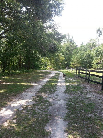 1010 R & B Road Barnwell, SC 29812 - Photo 4 of 9