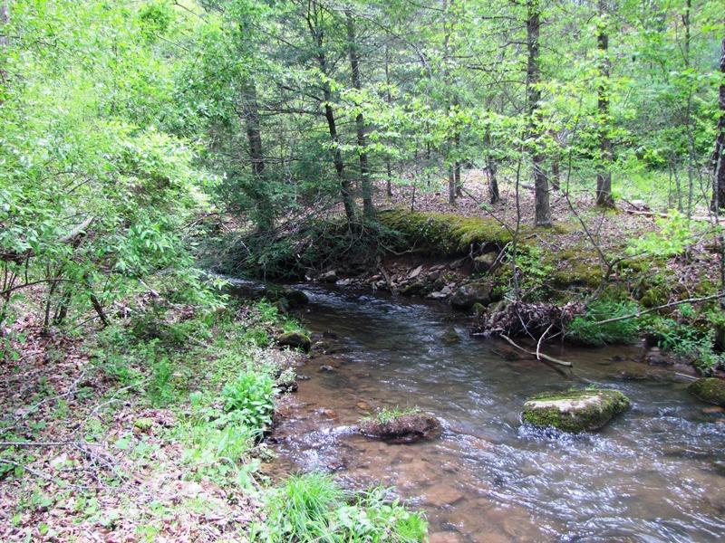 329 Trout Run Road Waiteville, WV 24984 - Photo 79 of 91 Gallery Image 79