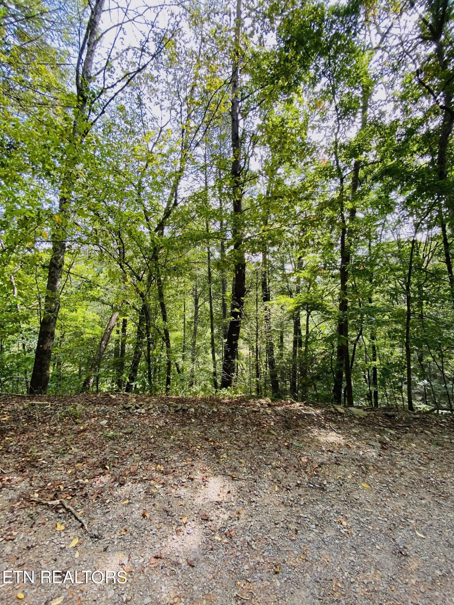 18 Meadow View Road Sevierville, TN 37862 - Photo 1 of 7 Gallery Image 1
