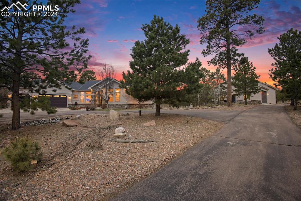 11628 Shaugnessy Road Colorado Springs, CO 80908 - Photo 4 of 50 a view of road with large trees