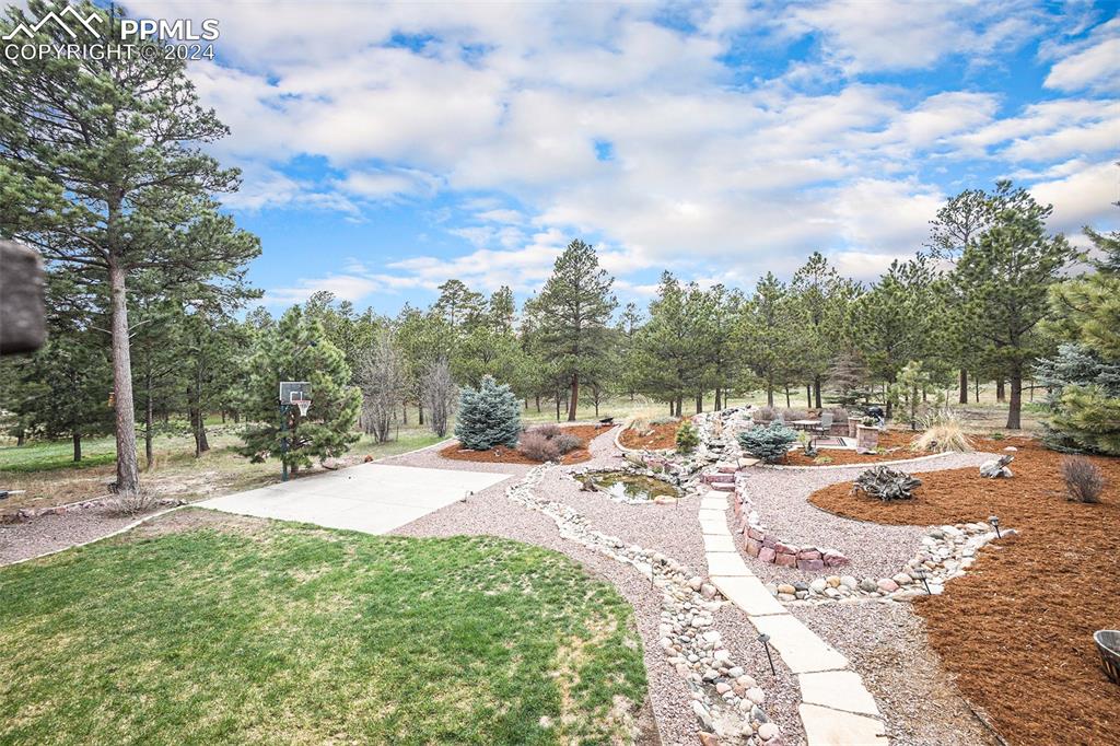 11628 Shaugnessy Road Colorado Springs, CO 80908 - Photo 43 of 50 a view of a backyard of the house