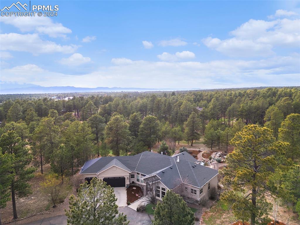 11628 Shaugnessy Road Colorado Springs, CO 80908 - Photo 45 of 50 an aerial view of residential houses with outdoor space and trees