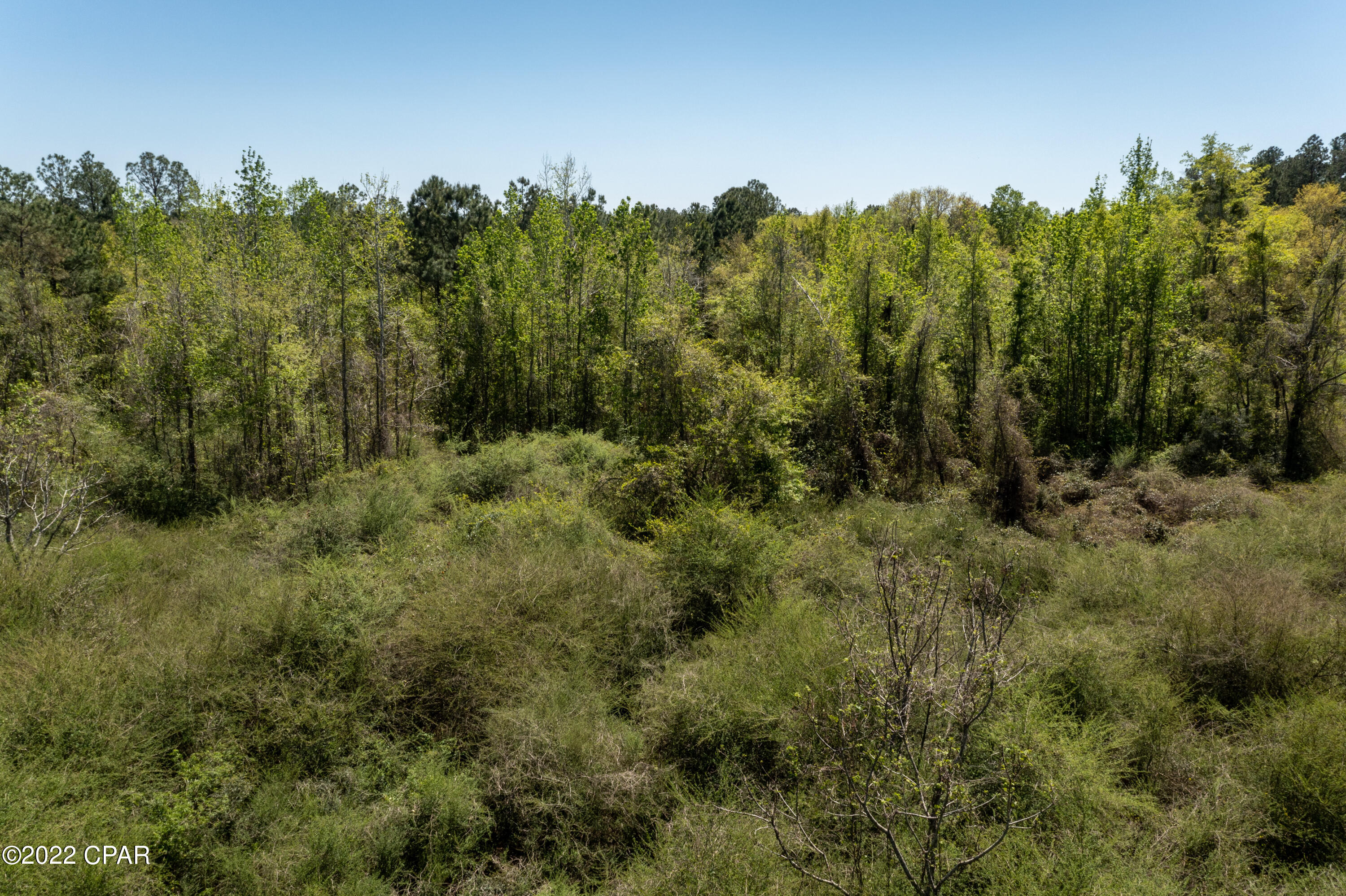 Xx Cane Mill Road Chipley, FL 32428 - Photo 10 of 12