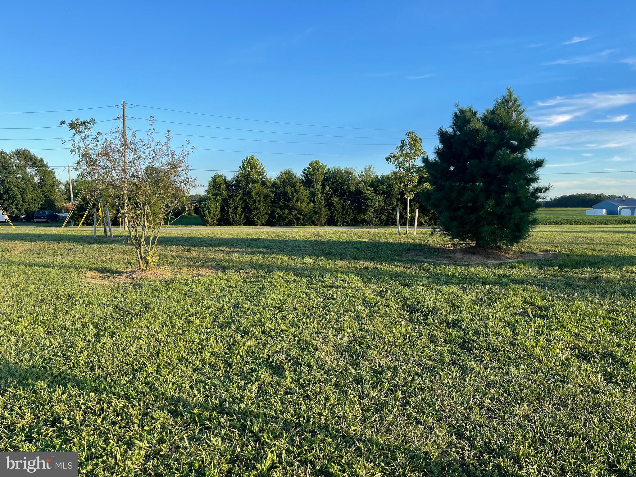 782 Windrow Way Magnolia, DE 19962 - Photo 53 of 57