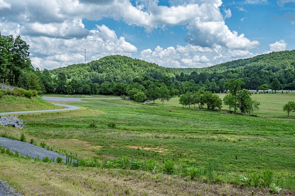 151 The Ridges Morganton, GA 30560 - Photo 19 of 35