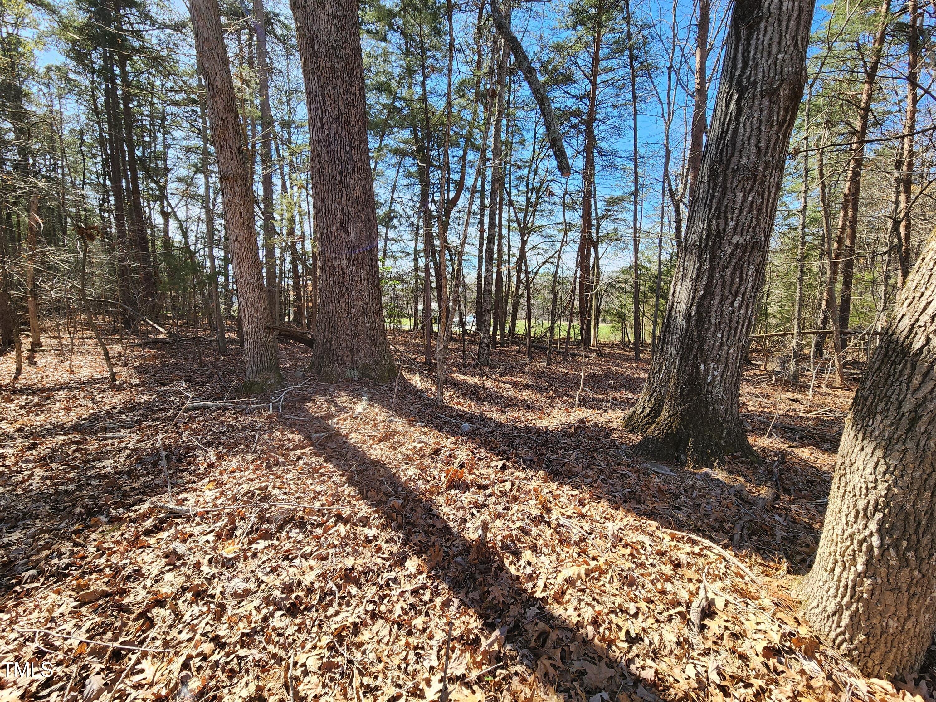 57 Rougemont Nc 27572 Rougemont, NC 27572 - Photo 16 of 22 Create your private trails