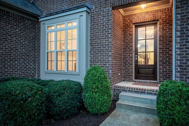 a view of a backyard with plants