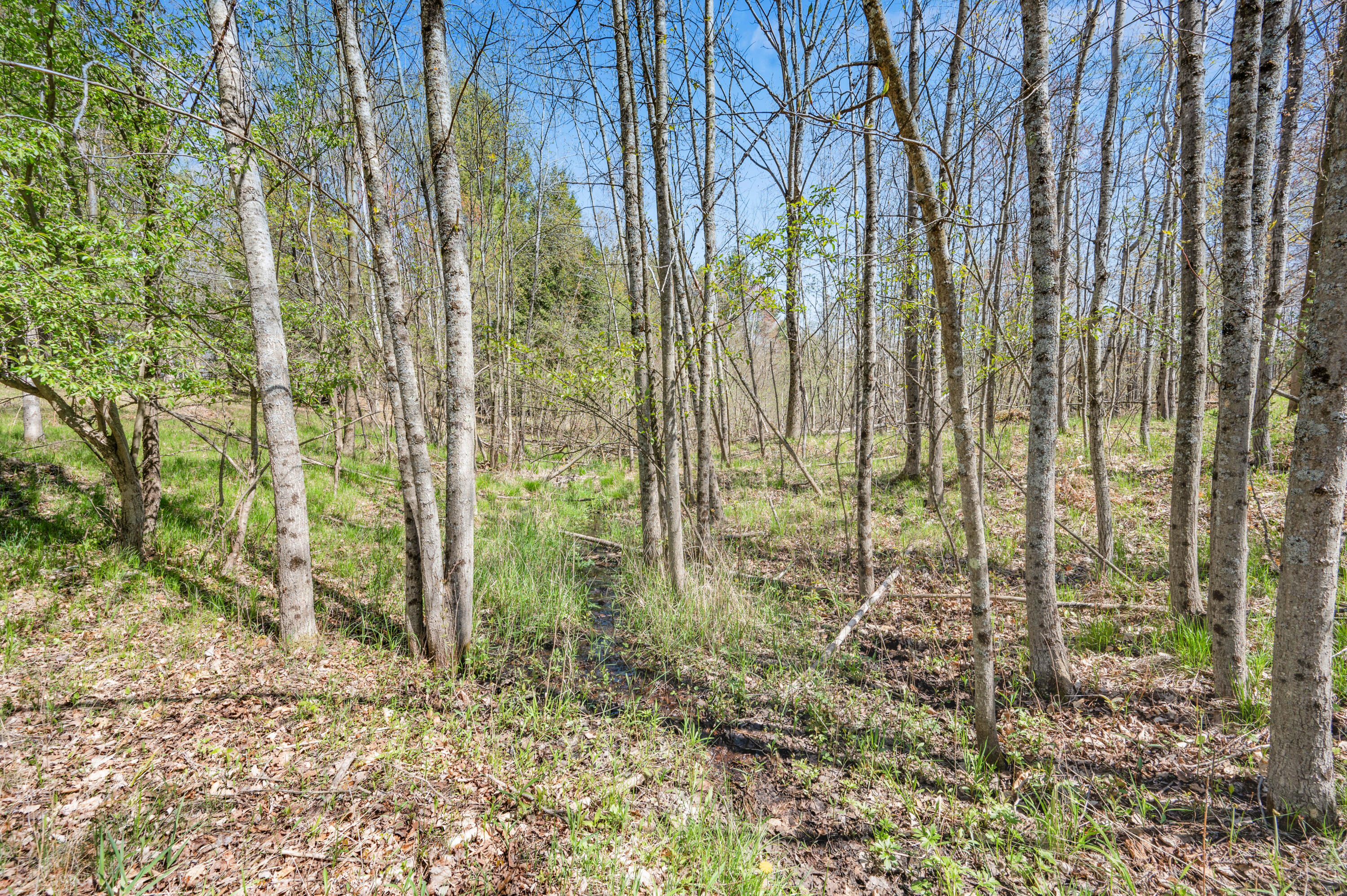 17 17 Mile Road Rodney, MI 49342 - Photo 4 of 18 VL-17Mile-Rodney-4