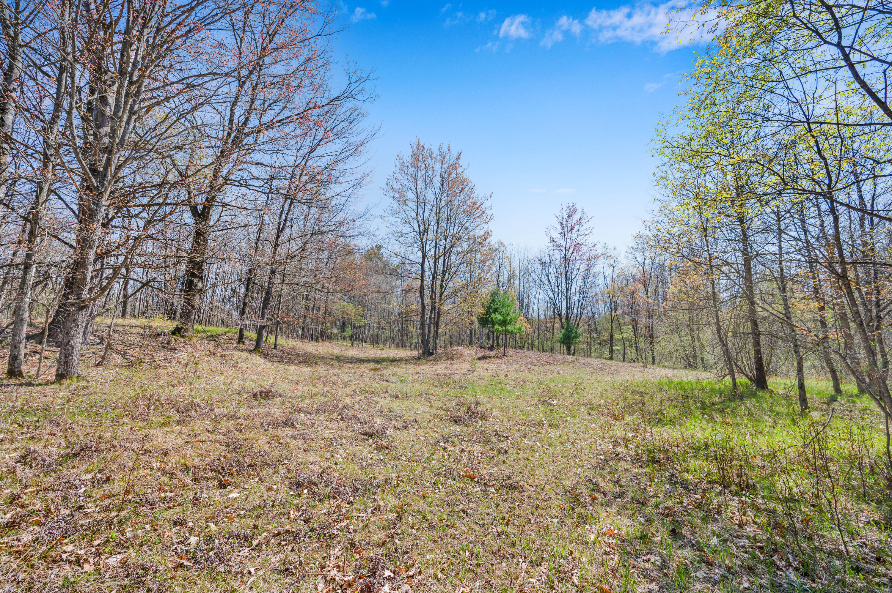 17 17 Mile Road Rodney, MI 49342 - Photo 5 of 18 VL-17Mile-Rodney-5