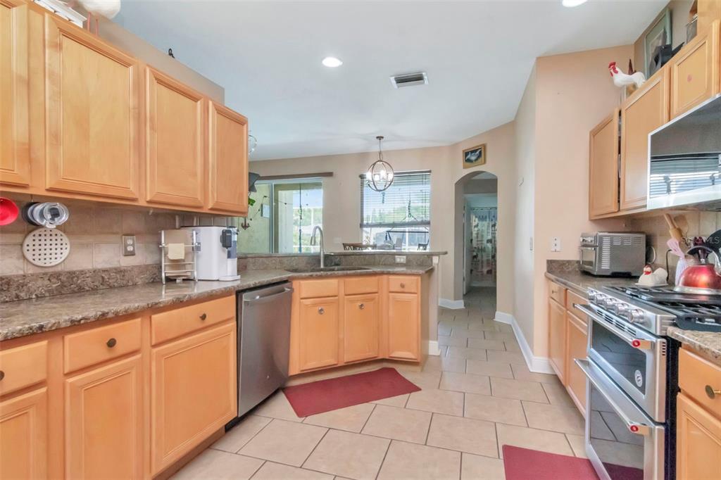 19103 Wind Dancer Street Lutz, FL 33558 - Photo 17 of 41 a kitchen with stainless steel appliances granite countertop a stove sink and cabinets