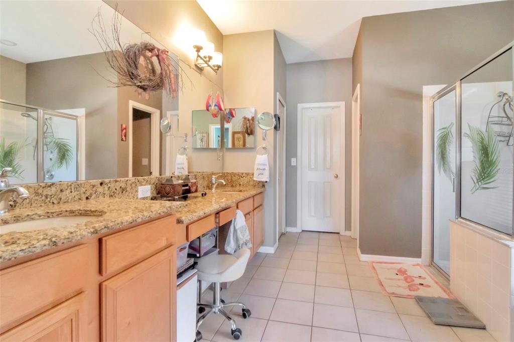 19103 Wind Dancer Street Lutz, FL 33558 - Photo 21 of 41 a bathroom with a granite countertop sink a mirror and a shower