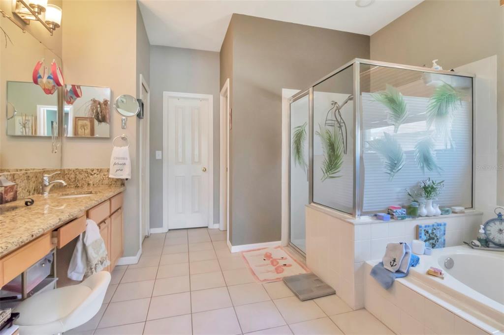 19103 Wind Dancer Street Lutz, FL 33558 - Photo 22 of 41 a bathroom with a granite countertop sink a mirror and shower