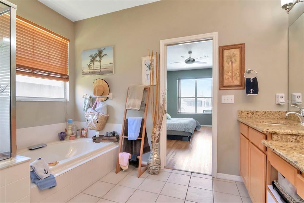 19103 Wind Dancer Street Lutz, FL 33558 - Photo 28 of 41 a bathroom with a tub sink and mirror