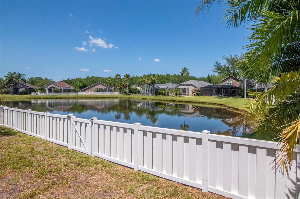 19103 Wind Dancer Street Lutz, FL 33558 - Photo 36 of 41 a view of a lake with a mountain in the background