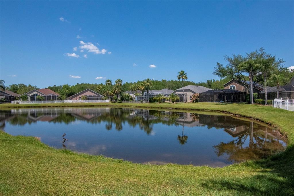 19103 Wind Dancer Street Lutz, FL 33558 - Photo 37 of 41 a view of a lake with houses