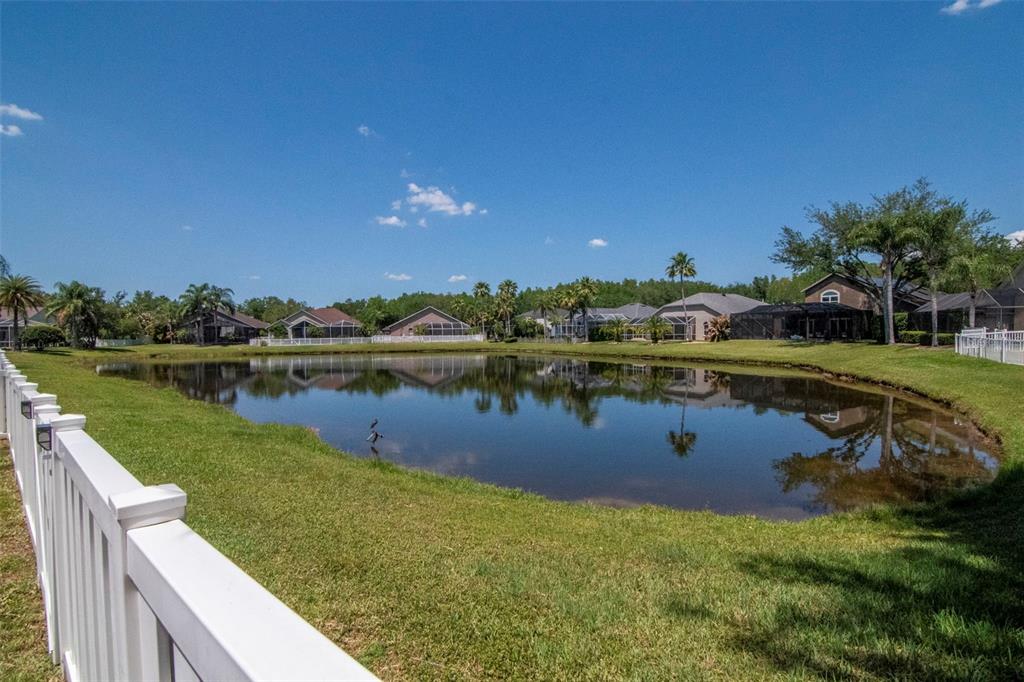 19103 Wind Dancer Street Lutz, FL 33558 - Photo 38 of 41 a view of a lake with a yard