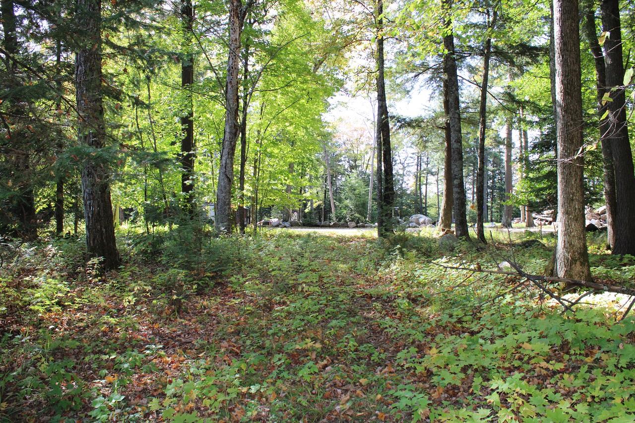 Lot 9 Stafford Point Road North Mercer, WI 54547 - Photo 14 of 28 Gallery Image 14