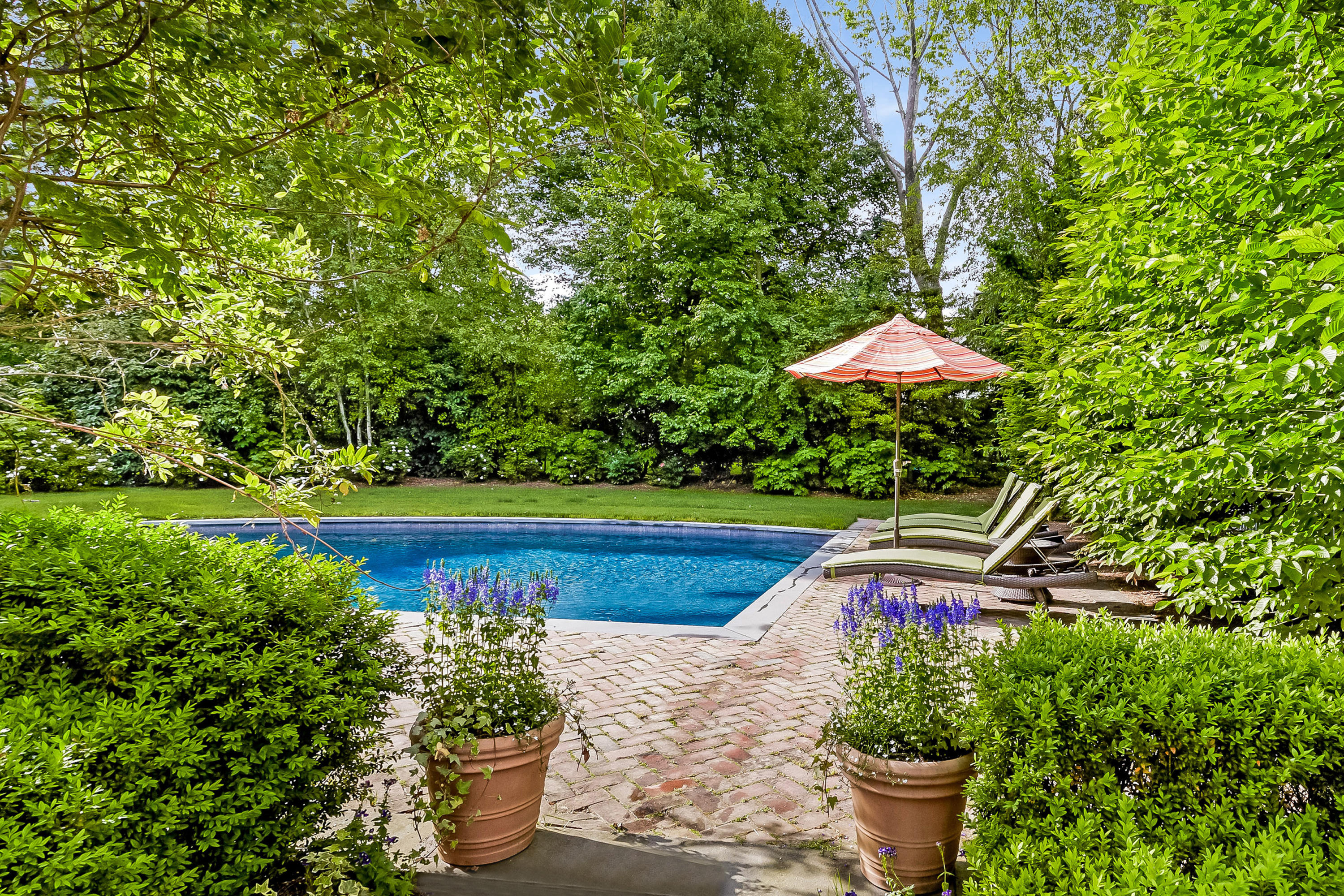 741 Hollow Tree Ridge Road Darien, CT 06820 - Photo 46 of 60 a view of a swimming pool with a yard and plants