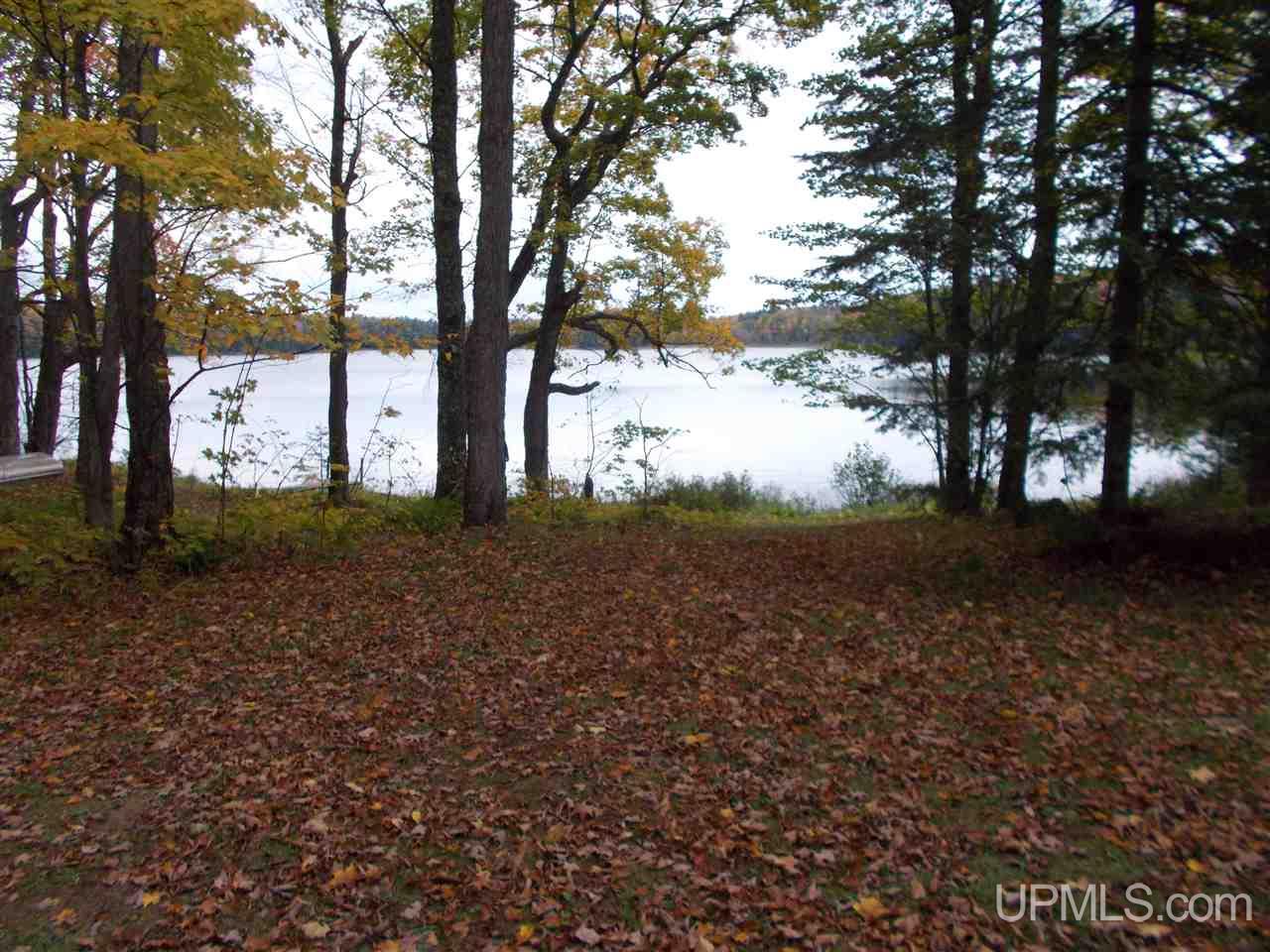 Clark Lake Jack Spurr Road Wakefield, MI 49968 - Photo 17 of 20