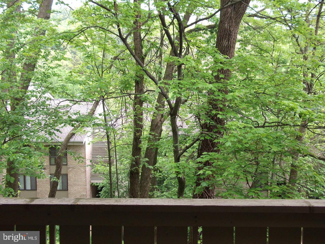 115 Cross Keys Road, Unit R115D Baltimore, MD 21210 - Photo 10 of 29 Balcony View