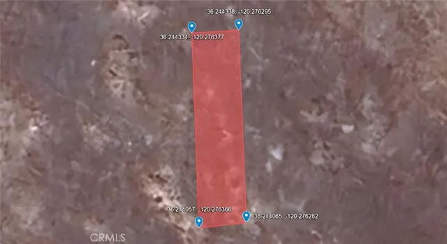 a close up of a plant in a shower