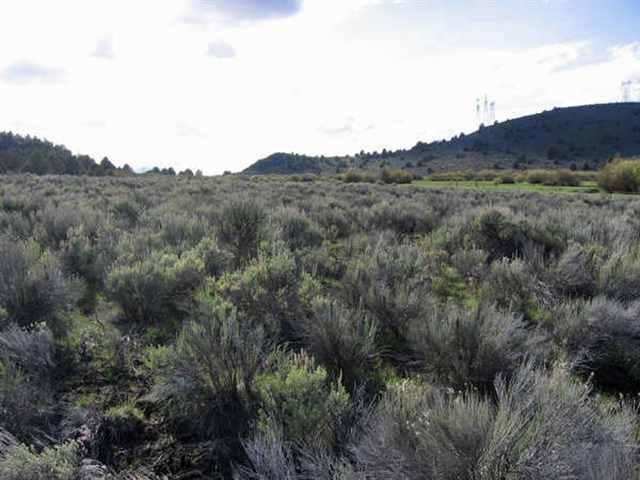 0 Riverbank Beatty, OR 97621 - Photo 3 of 8 Additional Photo