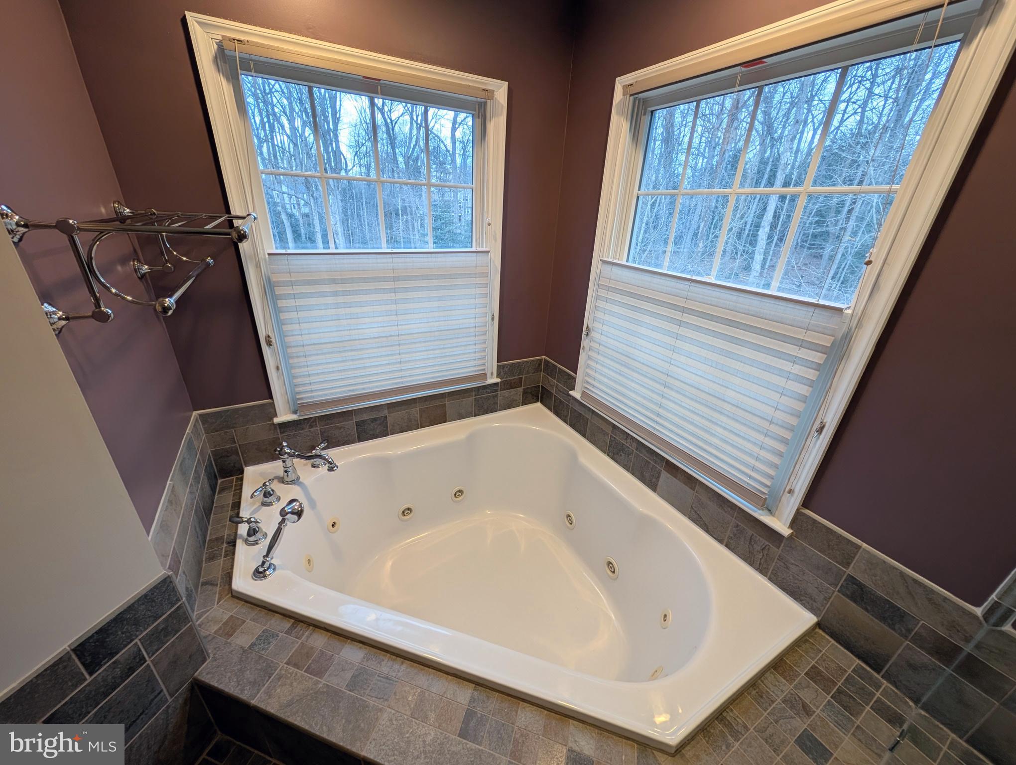11901 Paradise Lane Herndon, VA 20171 - Photo 55 of 63 Jetted Tub In Primary Bath