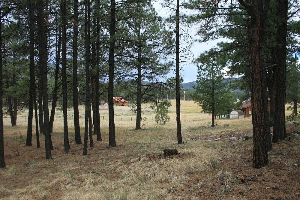 34 Cr 2088 Alpine Az 85920 Alpine, AZ 85920 - Photo 2 of 8