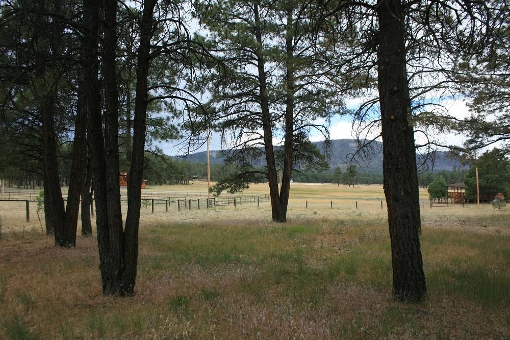 34 Cr 2088 Alpine Az 85920 Alpine, AZ 85920 - Photo 5 of 8