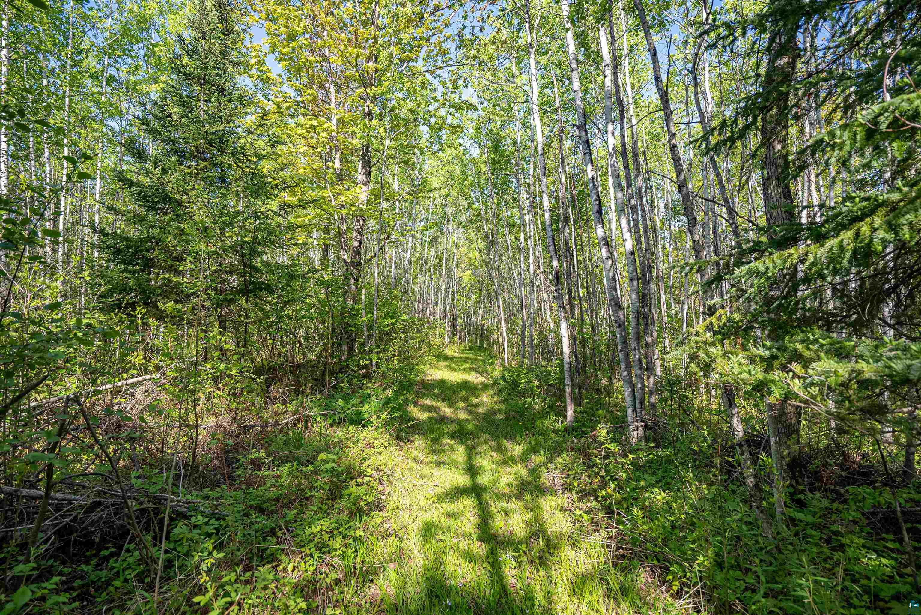3679 22nd Road South Range, WI 54874 - Photo 34 of 48