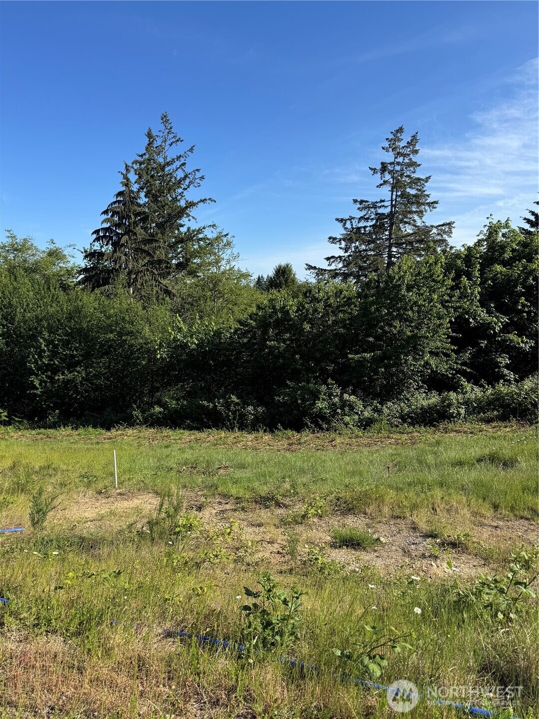 0 East Russet Ridge Road Grapeview, WA 98546 - Photo 3 of 5