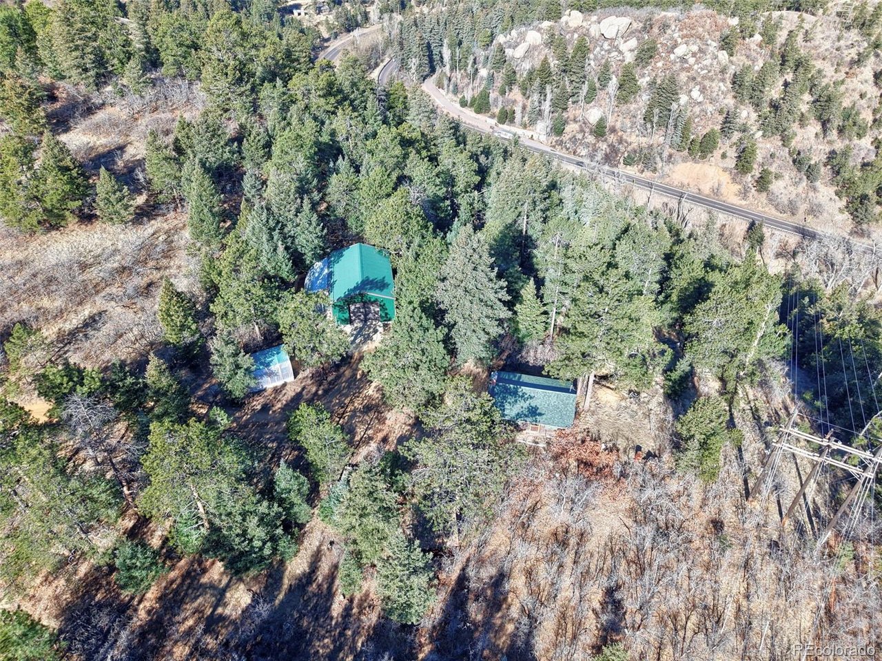 7415 West Highway 24 Cascade, CO 80809 - Photo 11 of 45 a view of a forest with a tree