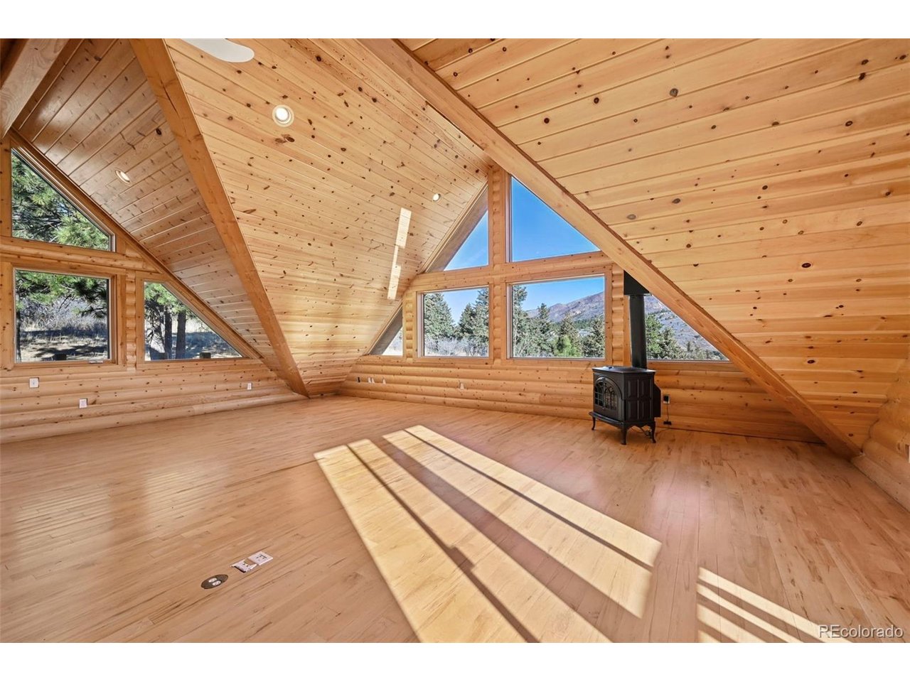 7415 West Highway 24 Cascade, CO 80809 - Photo 25 of 45