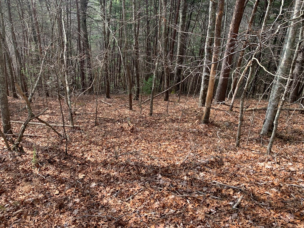 Lot 20 Wolf Ridge Lane Murphy, NC 28906 - Photo 2 of 27