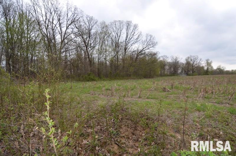 0 East Chana Road Walnut Hill, IL 62893 - Photo 1 of 7