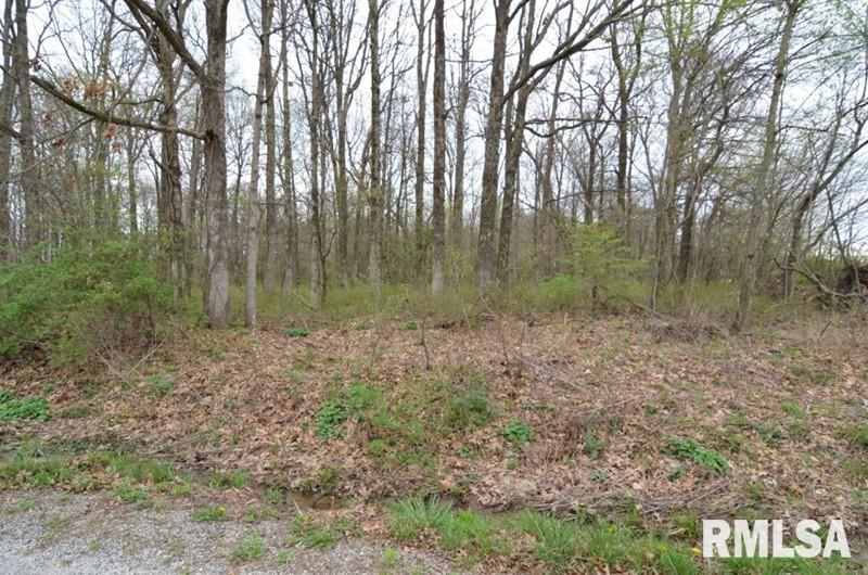 0 East Chana Road Walnut Hill, IL 62893 - Photo 4 of 7