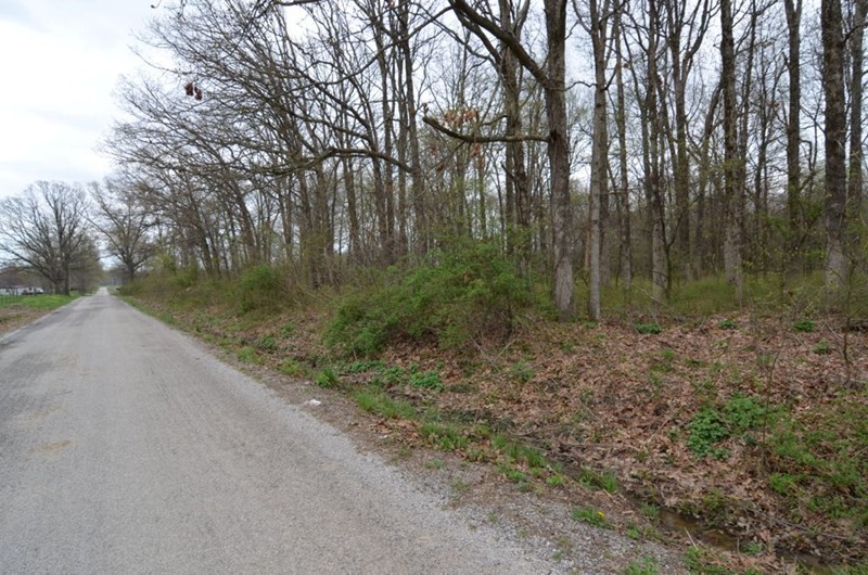 0 East Chana Road Walnut Hill, IL 62893 - Photo 5 of 7