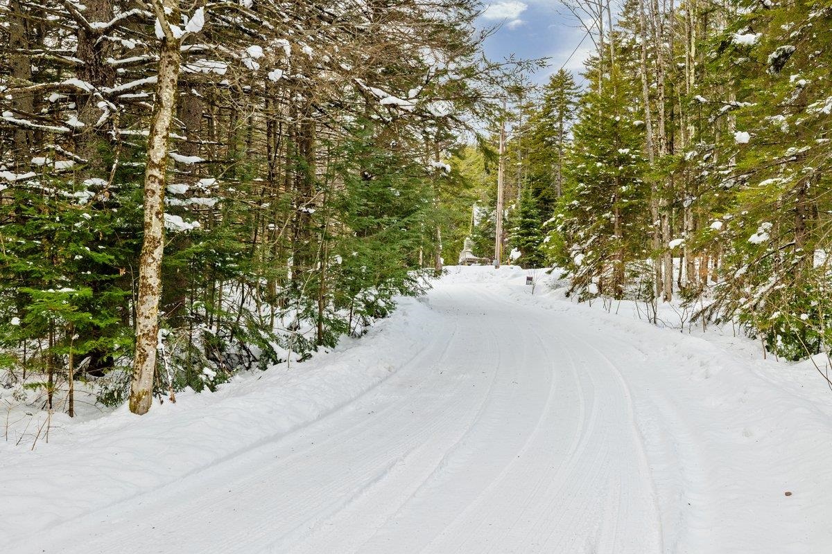 250 Christmas Road Montgomery, VT 05471 - Photo 7 of 46