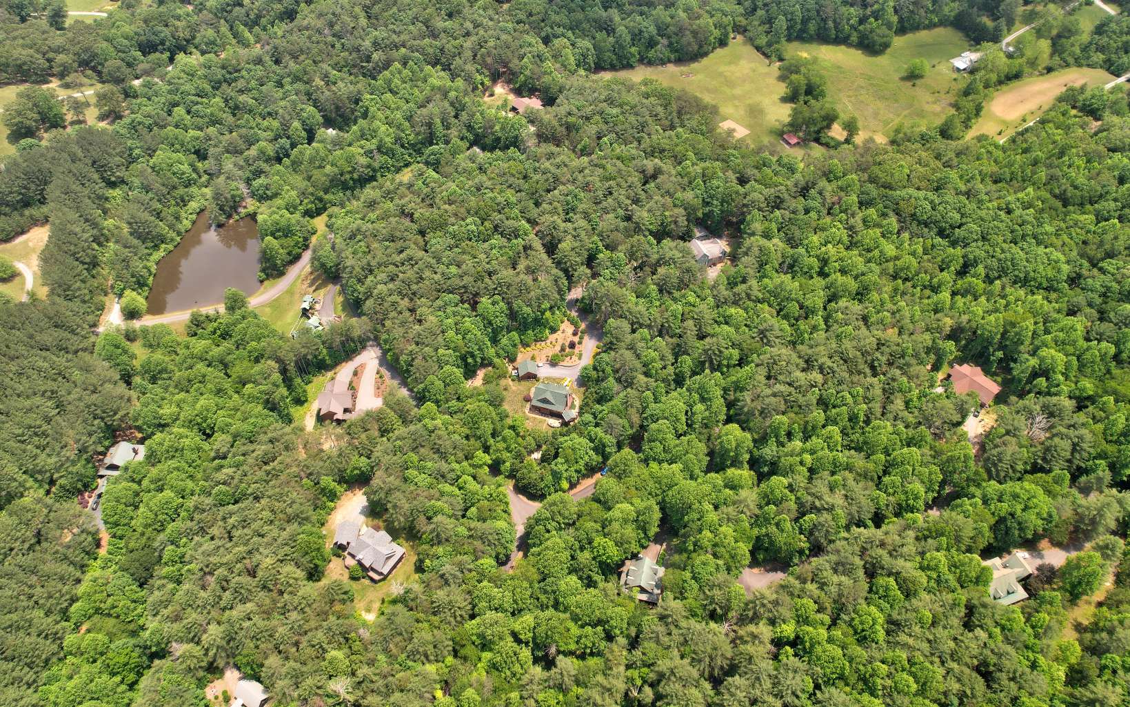 0 Jared Road Blue Ridge, GA 30513 - Photo 16 of 17 a view of a house with a tree