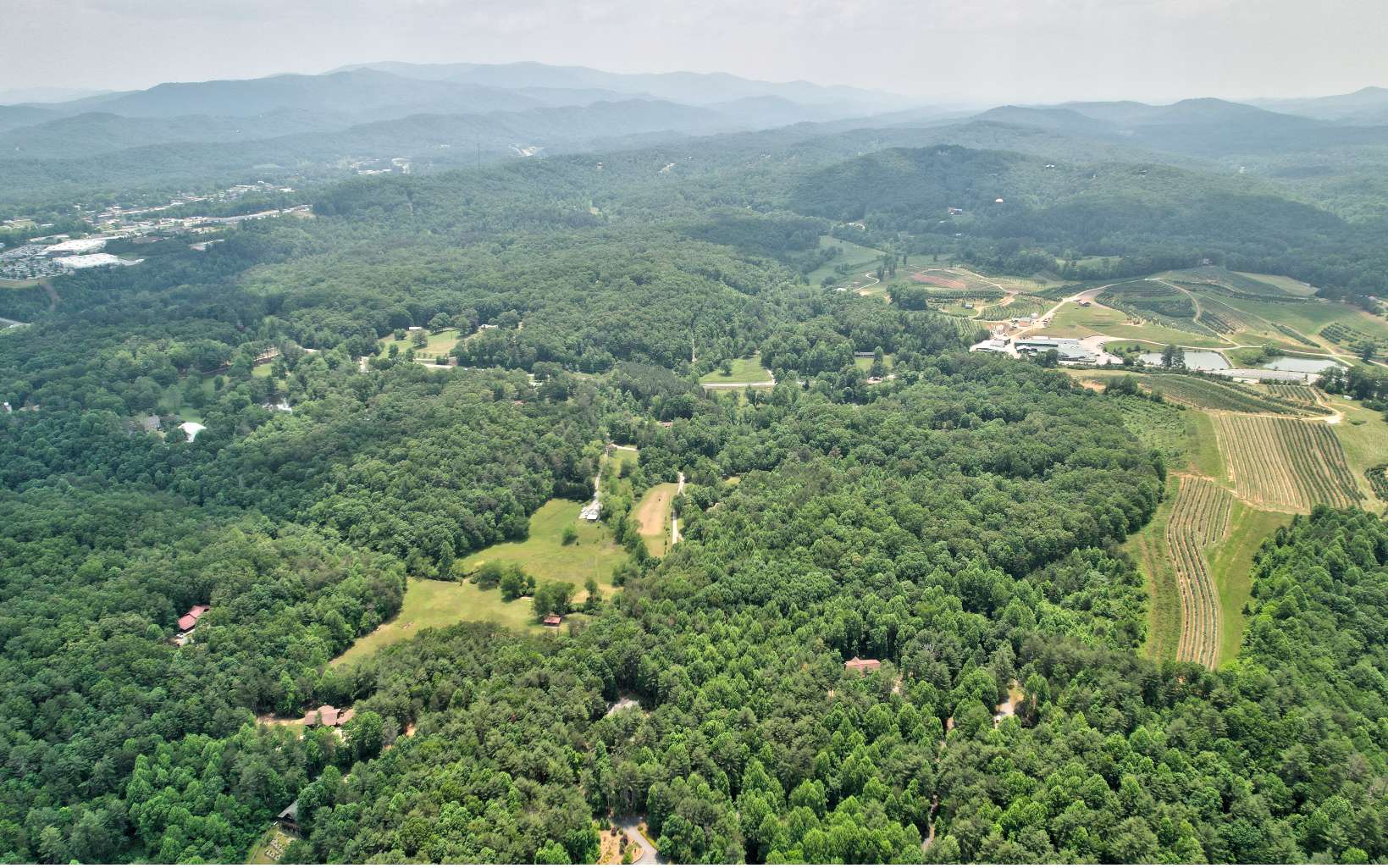 0 Jared Road Blue Ridge, GA 30513 - Photo 2 of 17 a view of a forest with a lush green forest