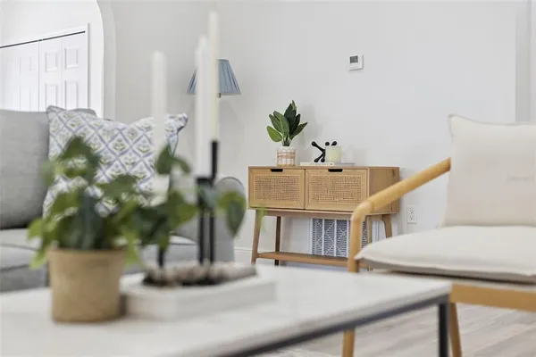 a living room with furniture and a potted plant