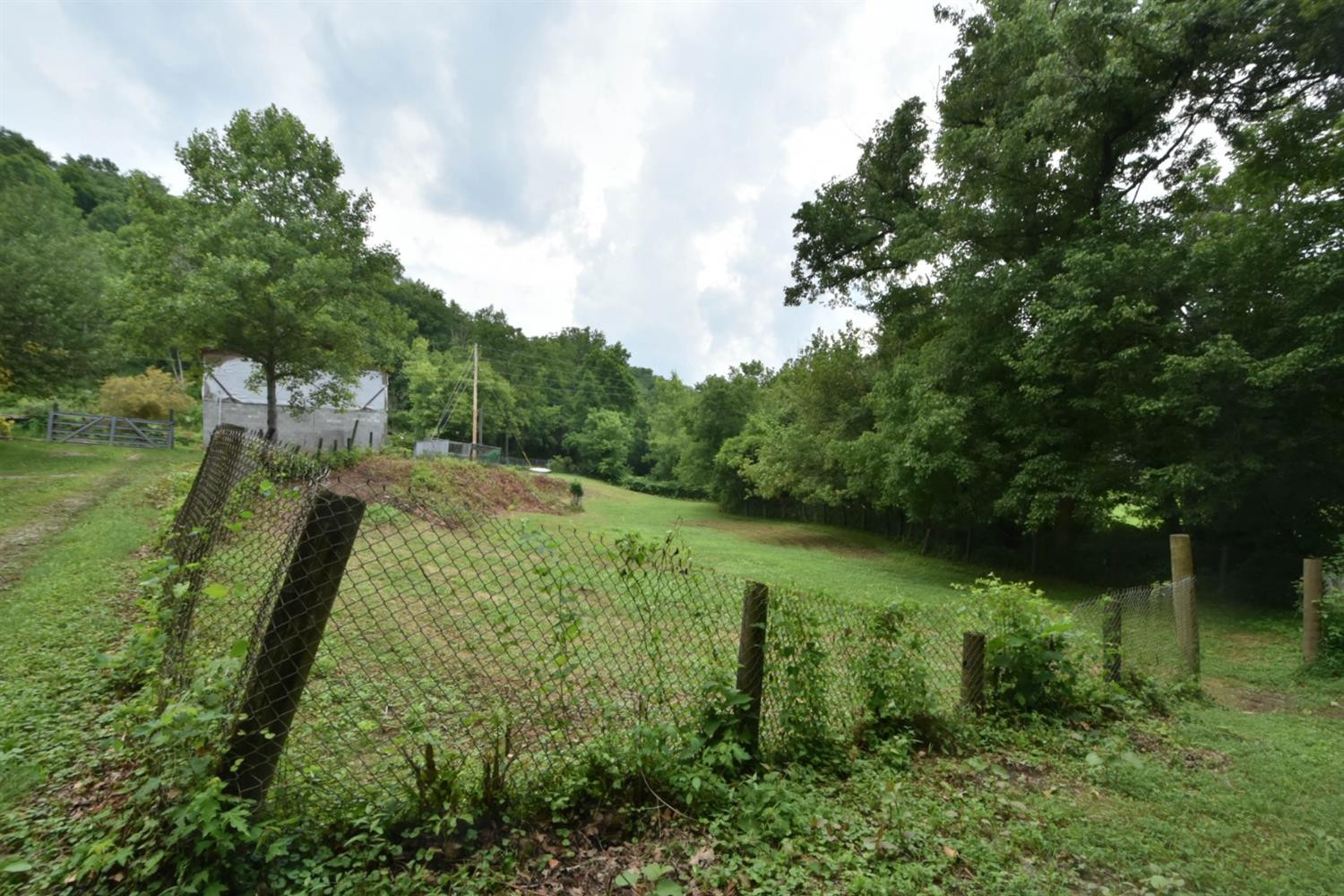 135 Camp Daniel Boone Road Lexington, KY 40515 - Photo 69 of 93 Listing Photo