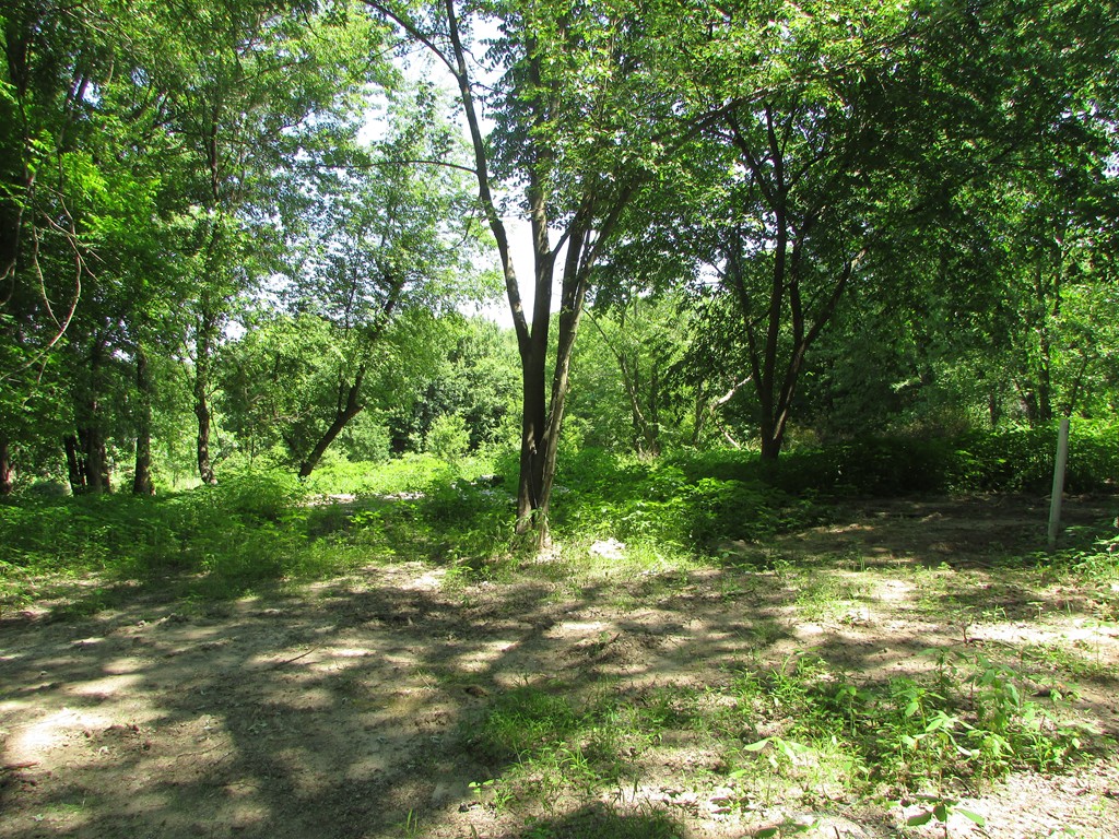 59 Gunn Road Southampton, MA 01073 - Photo 2 of 3 Gallery Image 2